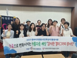활동앨범 이미지
