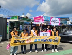 활동앨범 이미지